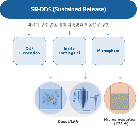 서방형 미립구 치료제 추가 이미지