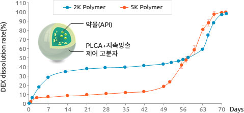 서방형 미립구 치료제 추가 이미지