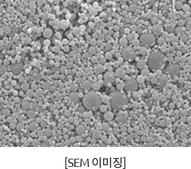 서방형 미립구 치료제 추가 이미지 [SEM 이미징]